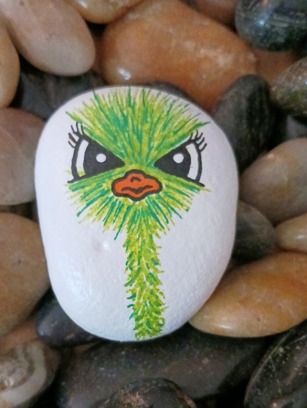 Hand Painted Ostrich Rocks - Picture 6 of 7